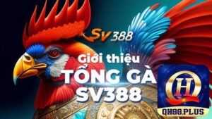 Tìm hiểu về sân chơi đá gà uy tín, minh bạchSv388