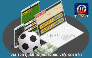 QH88 - Dự đoán soi kèo cược 2 trái đóng vai trò rất quan trọng