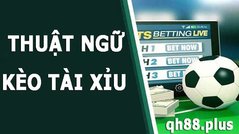 Thuật ngữ cần biết ở kèo bóng đá tài xỉu